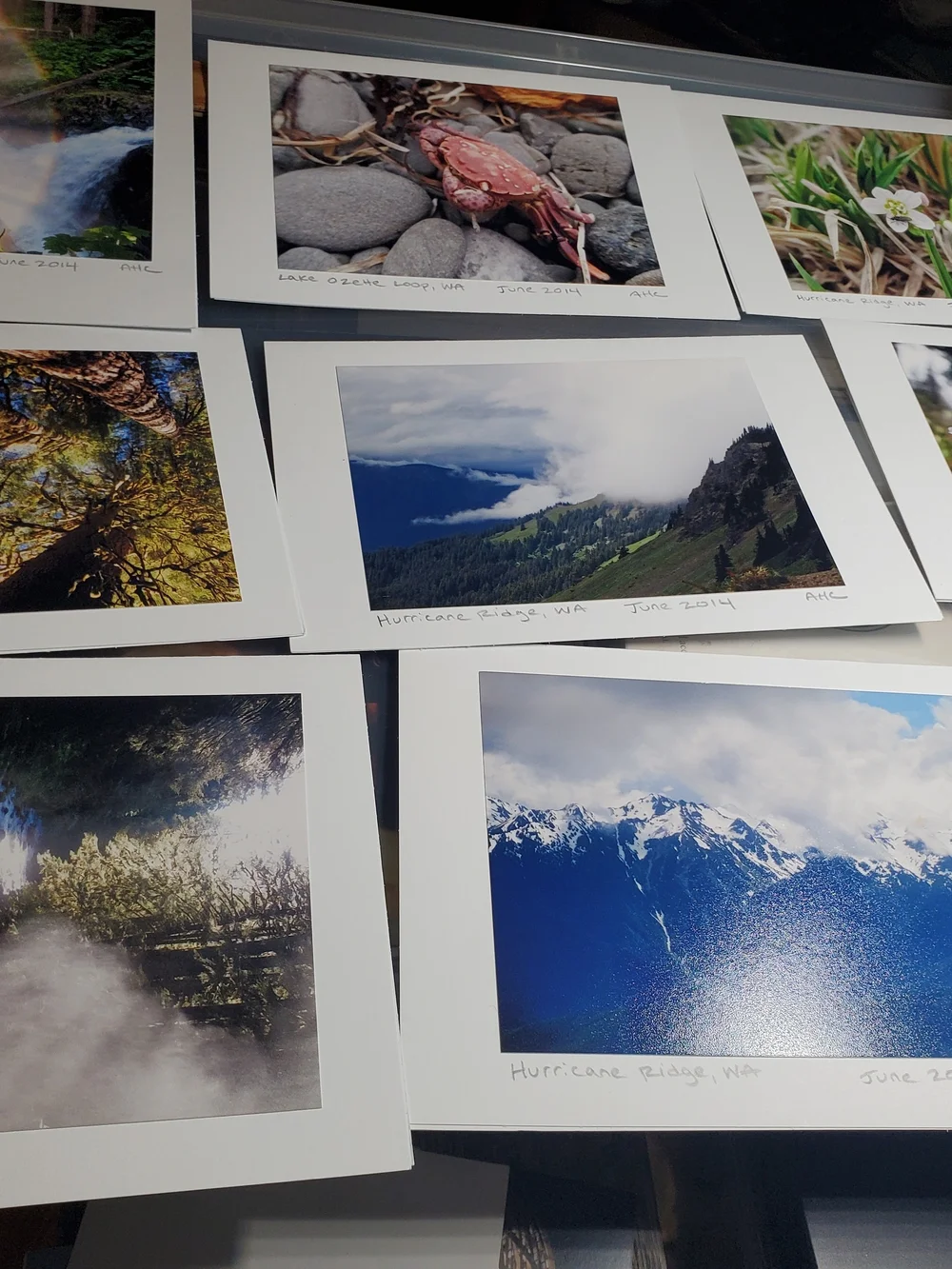 Handmade Photo Note Cards Set of 10 Blank Greeting Cards Envelopes WA Landscapes